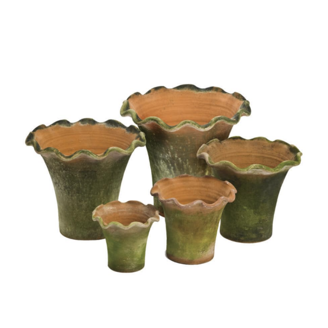 Scalloped Terra Cotta Planters