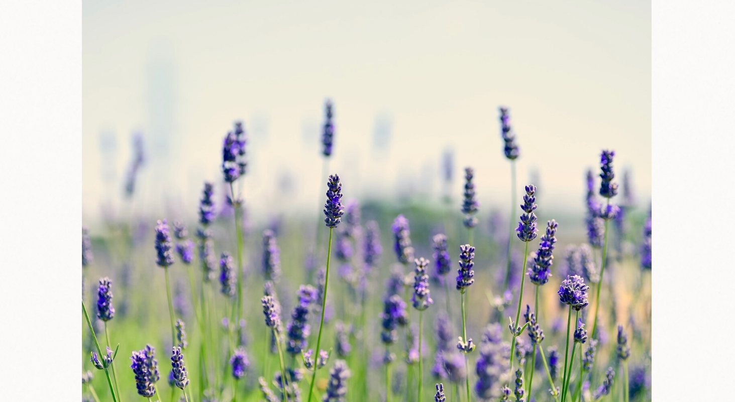 Footer image