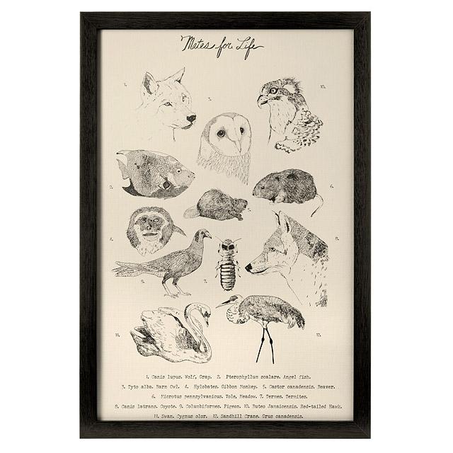 Mates For Life Wall Art