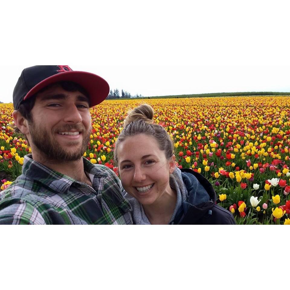 Oregon Tulip Festival at Wooden Shoe Tulip Farm in 2015