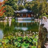 The Huntington Library, Art Museum, and Botanical Gardens