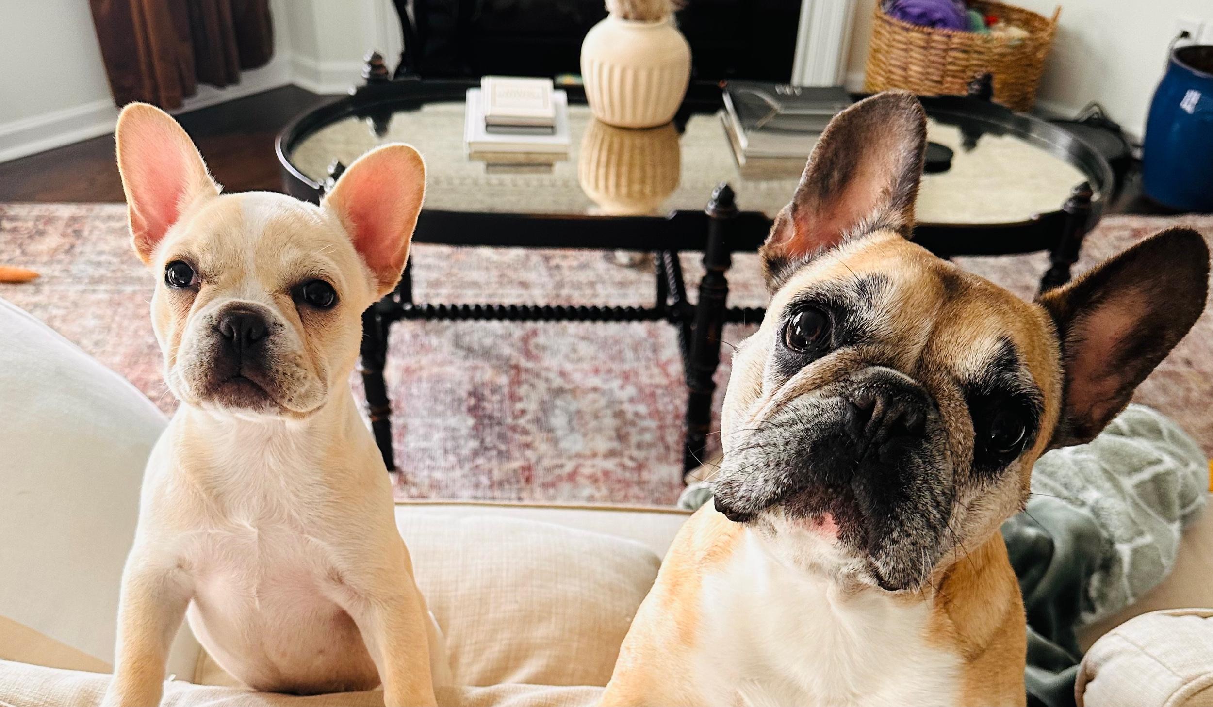 The Wedding Website of Benjamin Hales and Tripp Oliphant