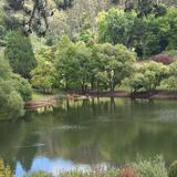 Mount Lofty Botanic Garden