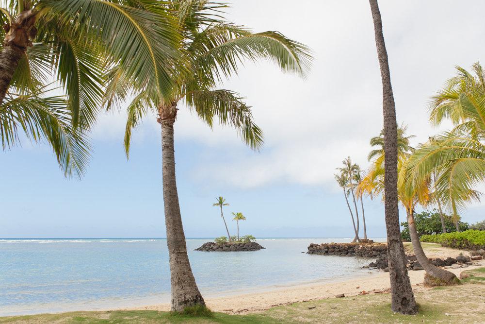 The Wedding Website of Stefani Moore and Jeremy Griffiths