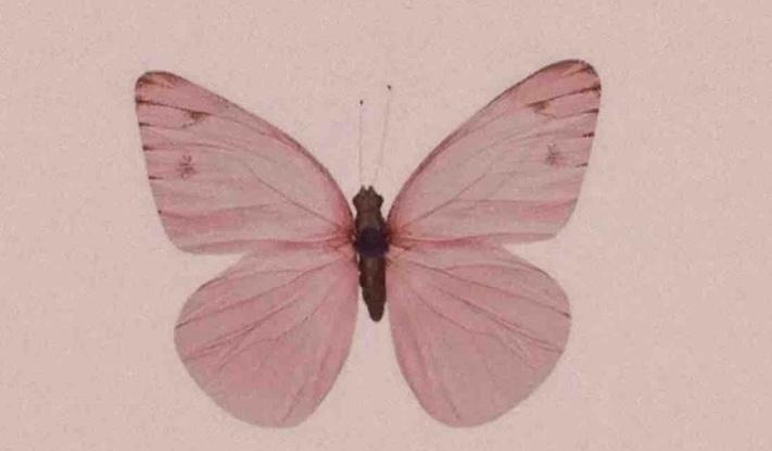 5647fc11-6c54-4b77-a488-c945093ee26a