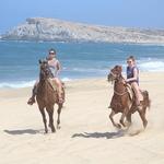 Cabo white sand horseback adventure