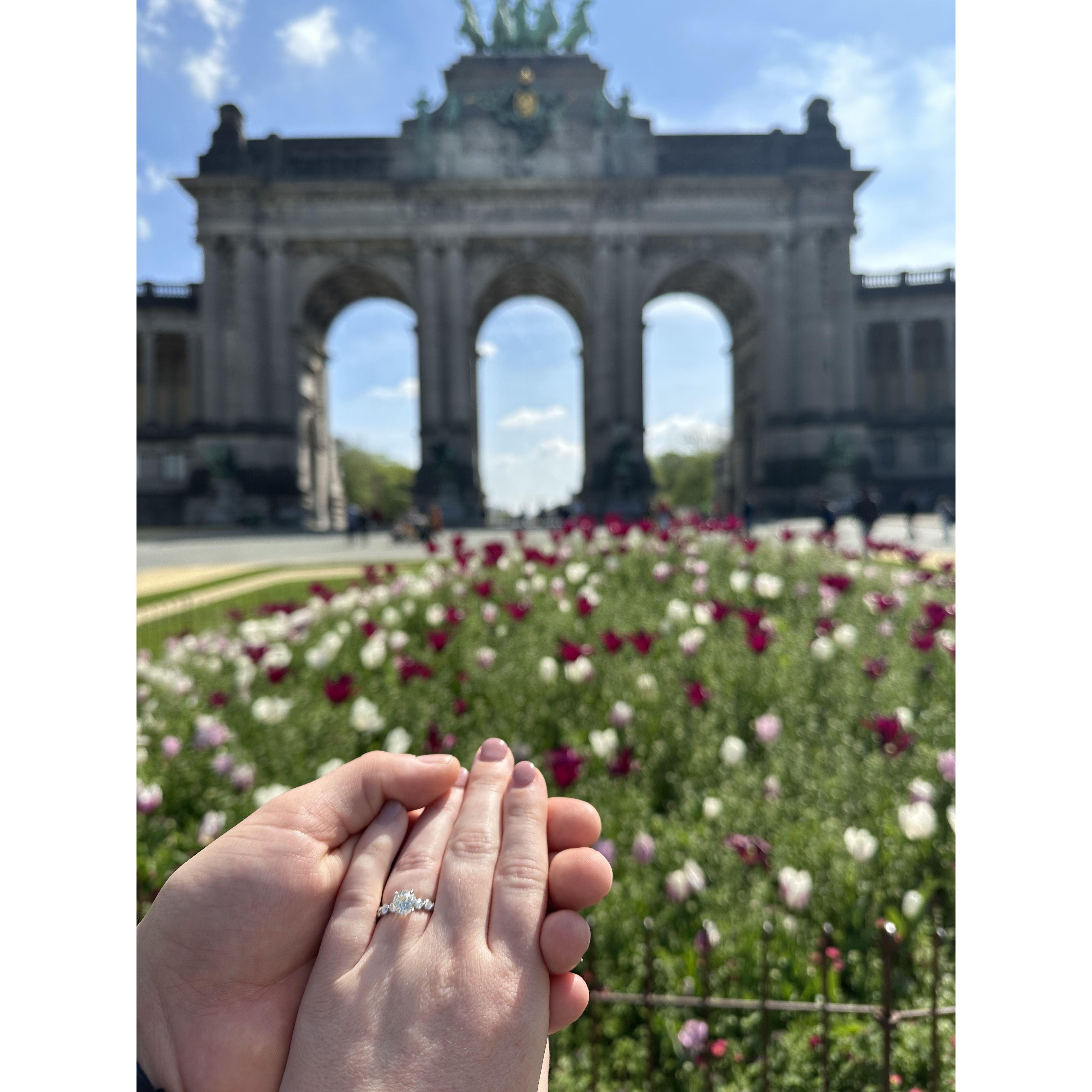 The proposal in Parc du Cinquantenaire