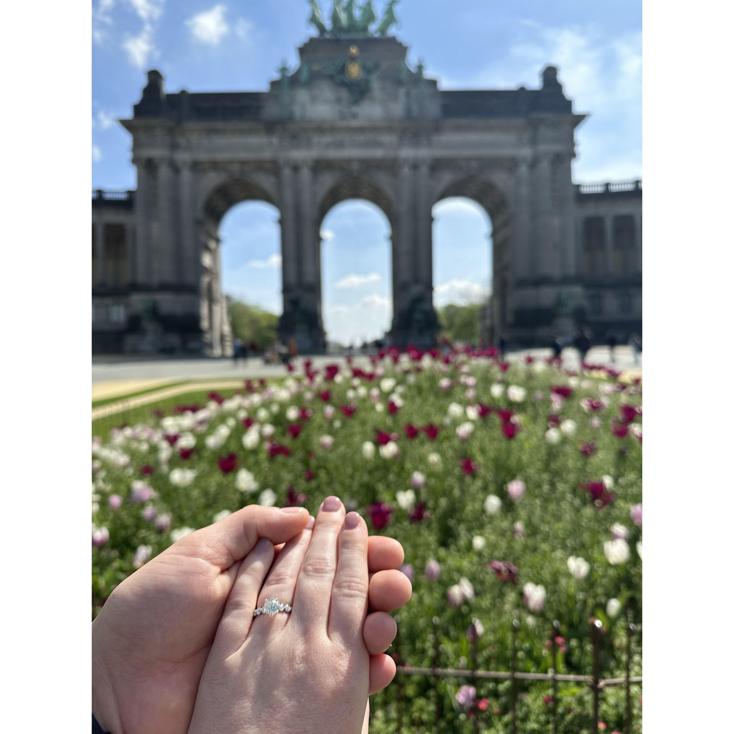 The proposal in Parc du Cinquantenaire