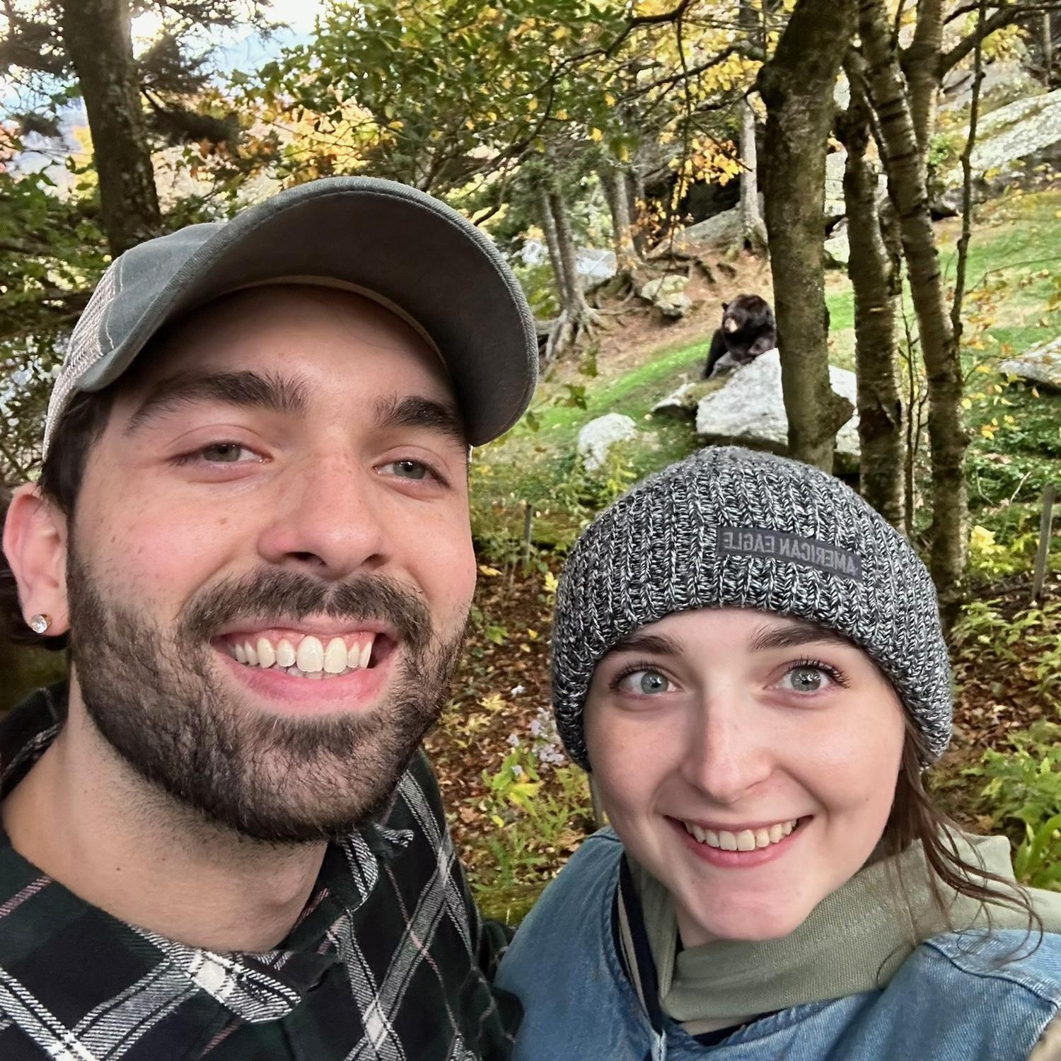 Bear on Grandfather Mountain that is definitely wild and not in a fence. (October 2023)