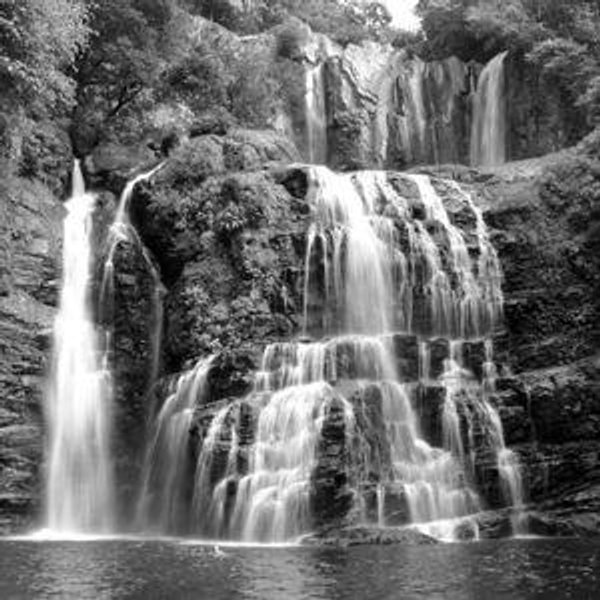 Honeymoon in Costa Rica