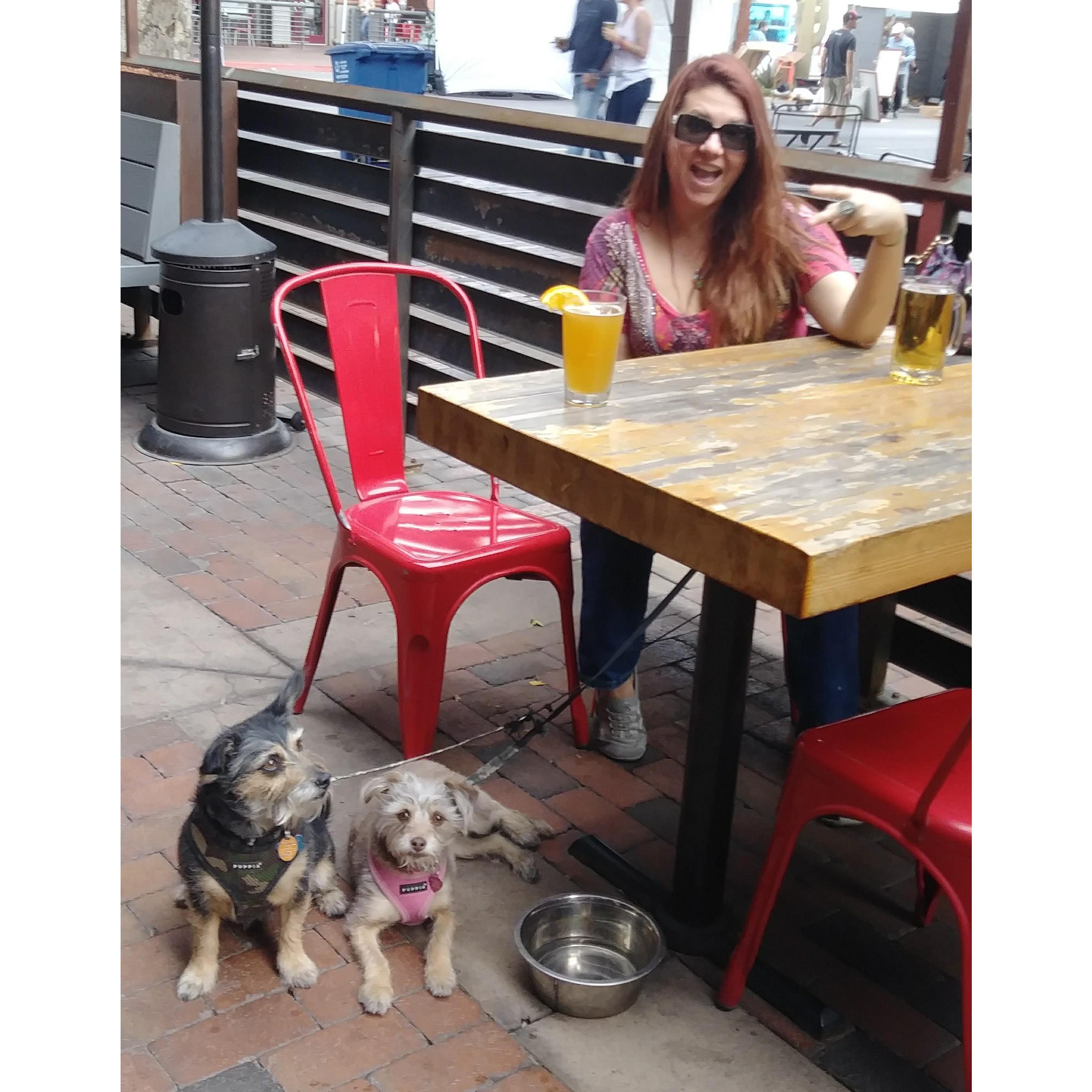 A nice Sunny Day on Mill with Me Lady and the Fur Babies.