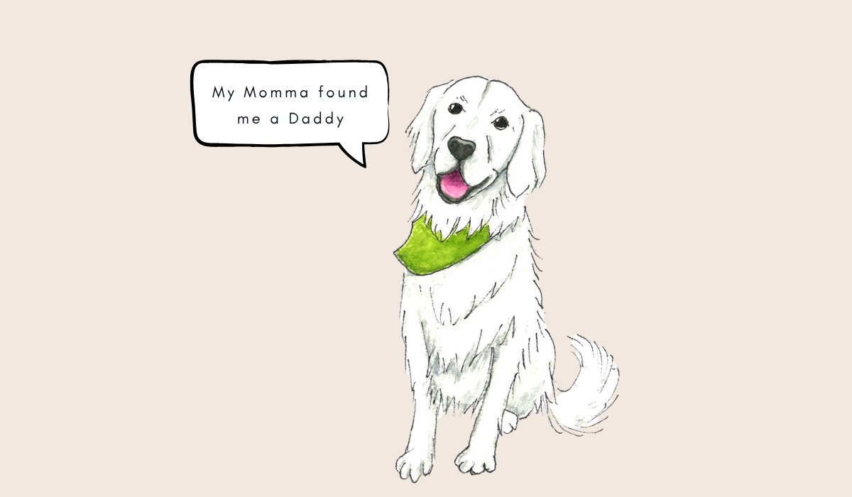 Footer image