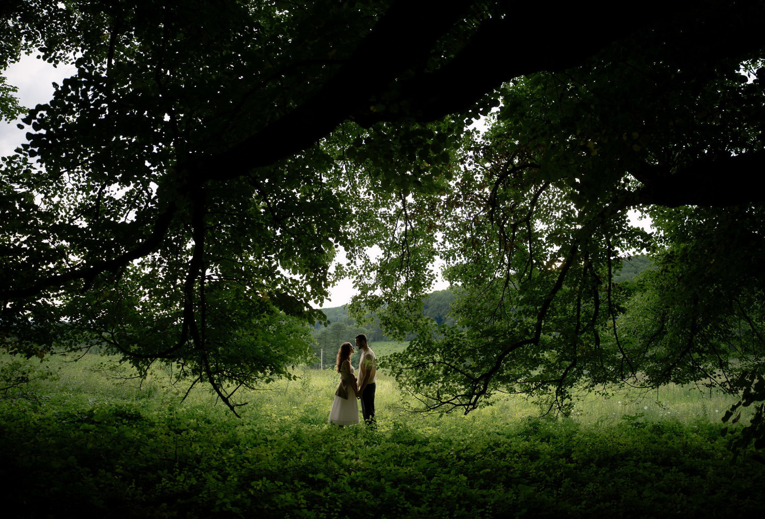 The Wedding Website of Jane McConnell and Scott Dickenson