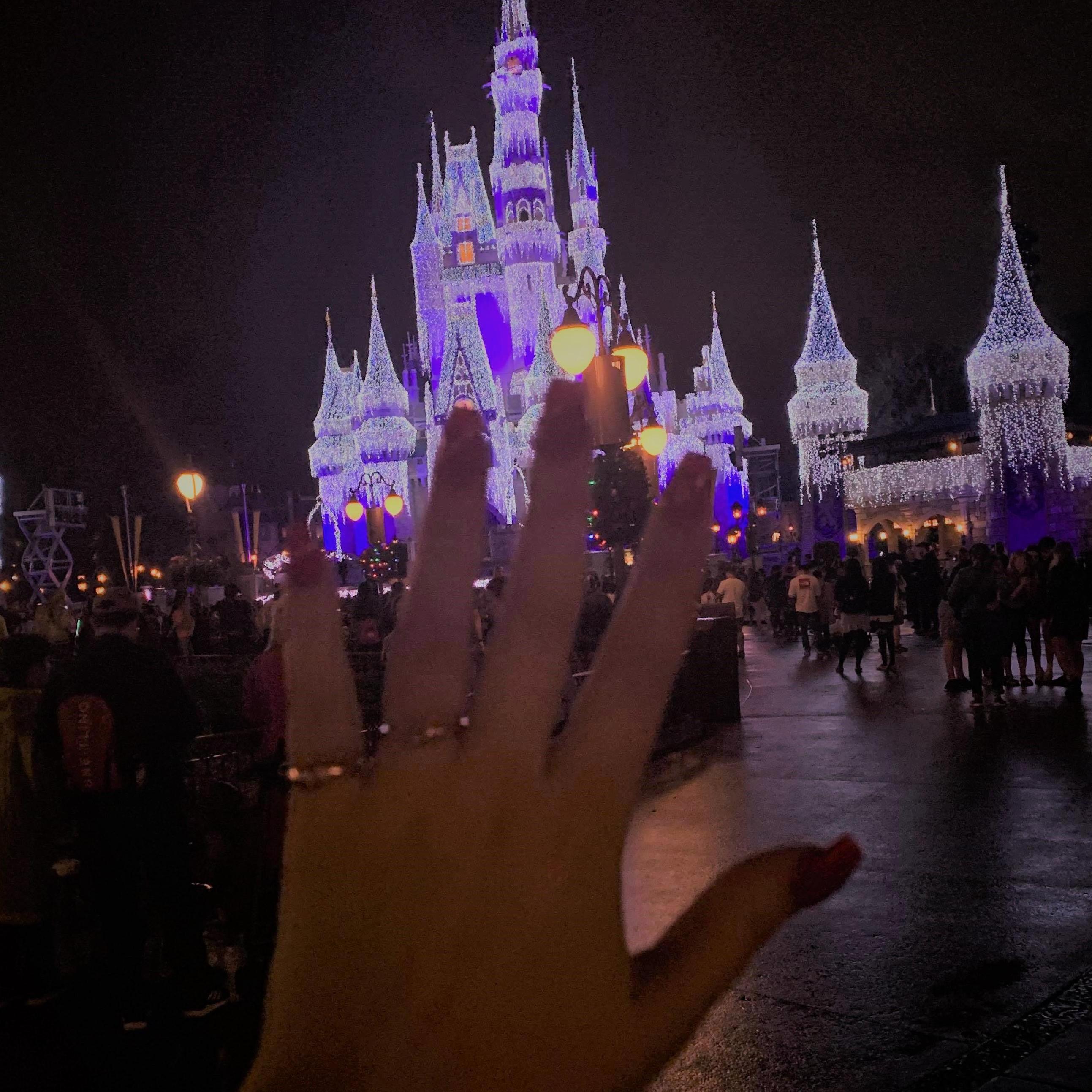 Disneyworld 2019