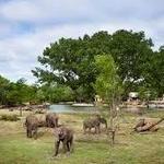 Sedgwick County Zoo