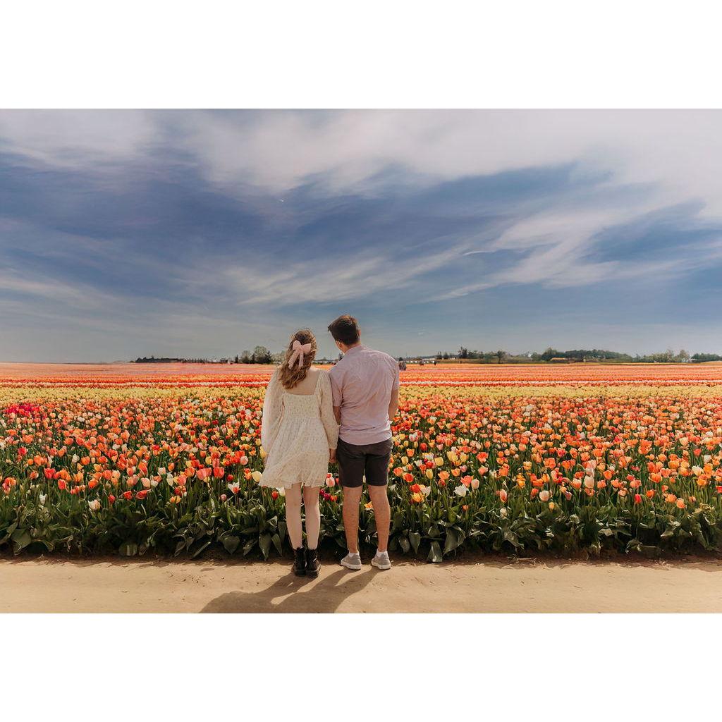 April 2025- Engagement photos!