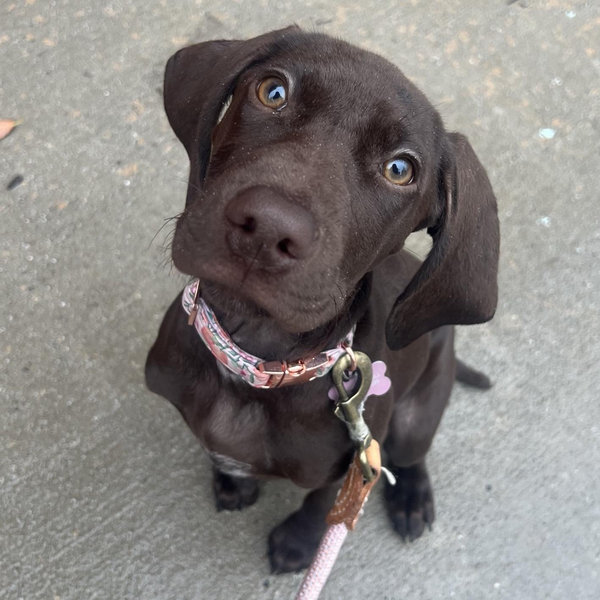Millie’s College Fund