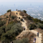 Runyon Canyon Road Hiking Path