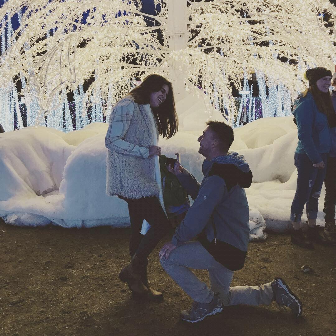 The Proposal ♥️