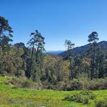 Reinhardt Redwood Regional Park