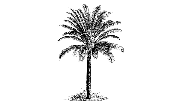 Footer image