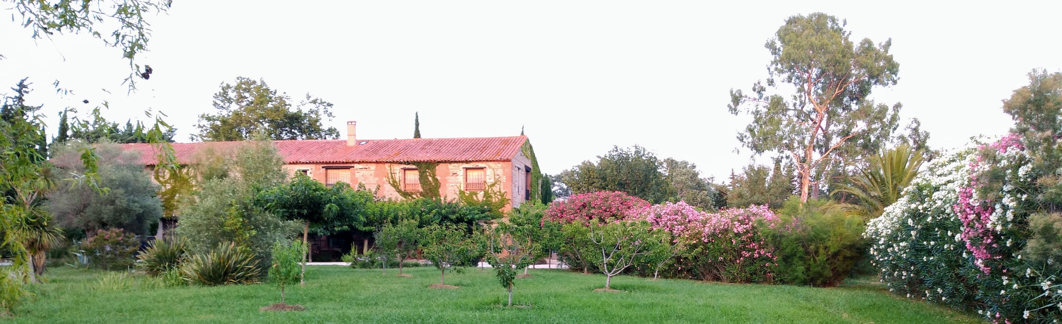 The Wedding Website of Malou Despoux and Lowell Deutschlander