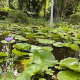 Botanical Garden