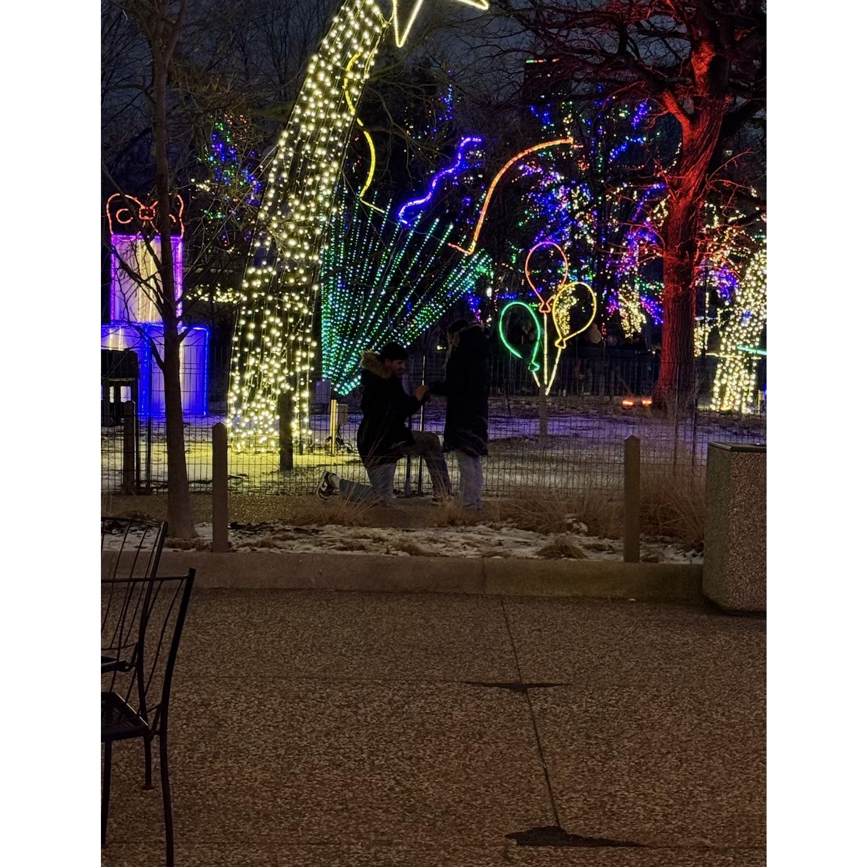 Got engaged at Lincoln Park in Chicago