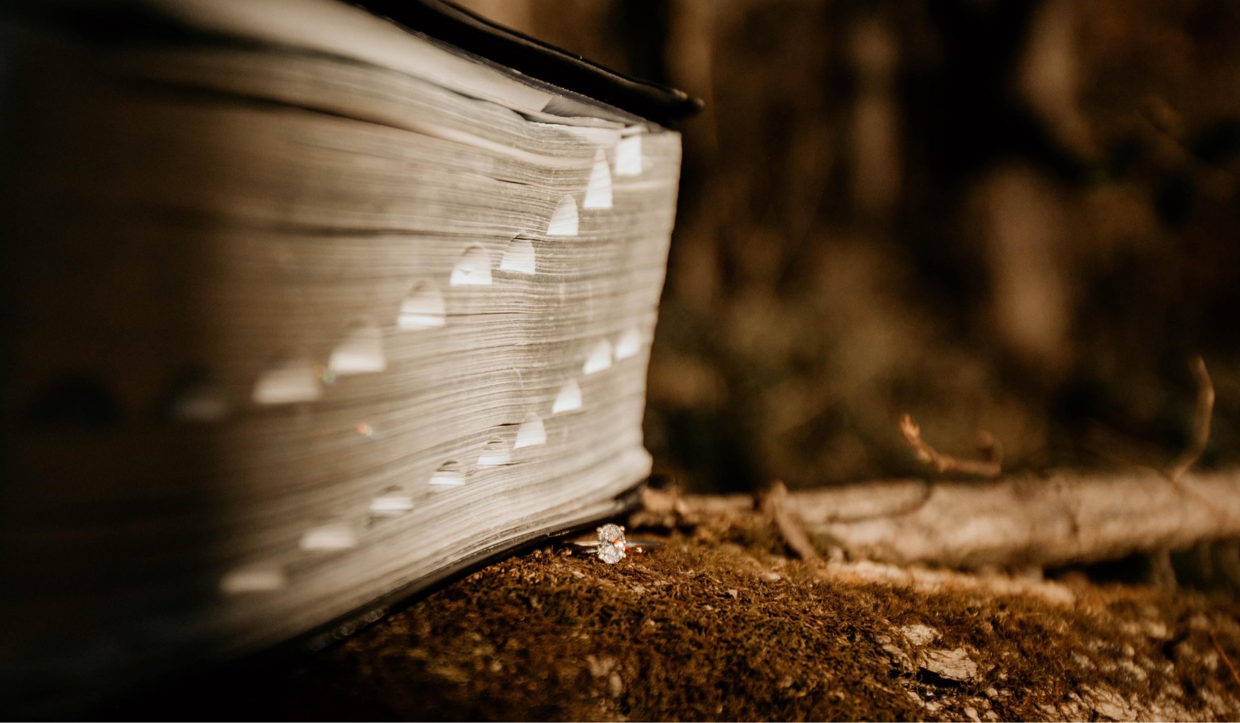 Hero Slideshow Image 2