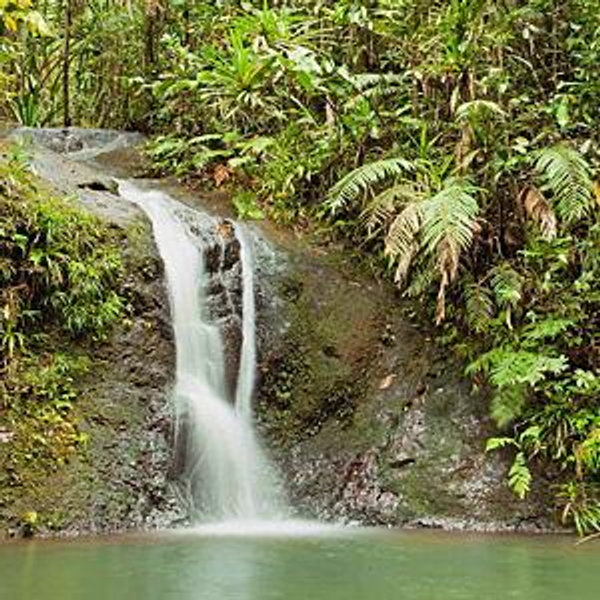 Suva, Fiji - The Jewel of Fiji Tour