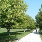 Woodland Park