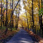 Paint Creek Trail