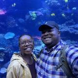 Georgia Aquarium