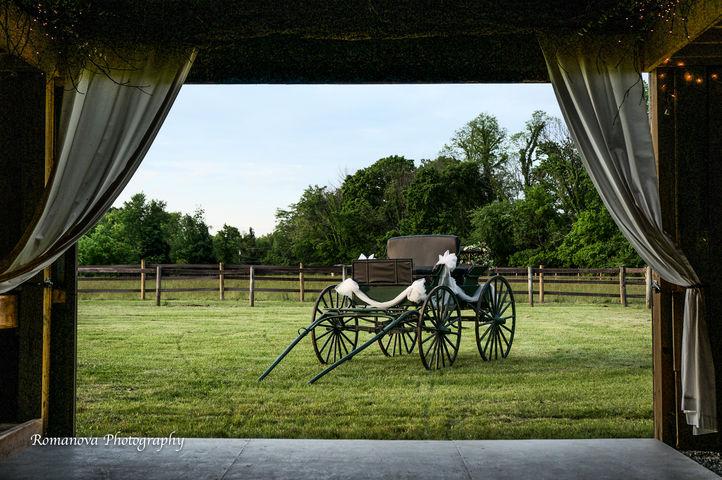 The Wedding Website of Sarah Hixson and Tim Collins