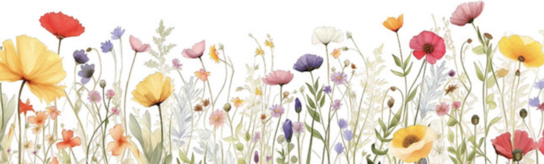 The Wedding Website of Allison Carroll and Timothy Holyk