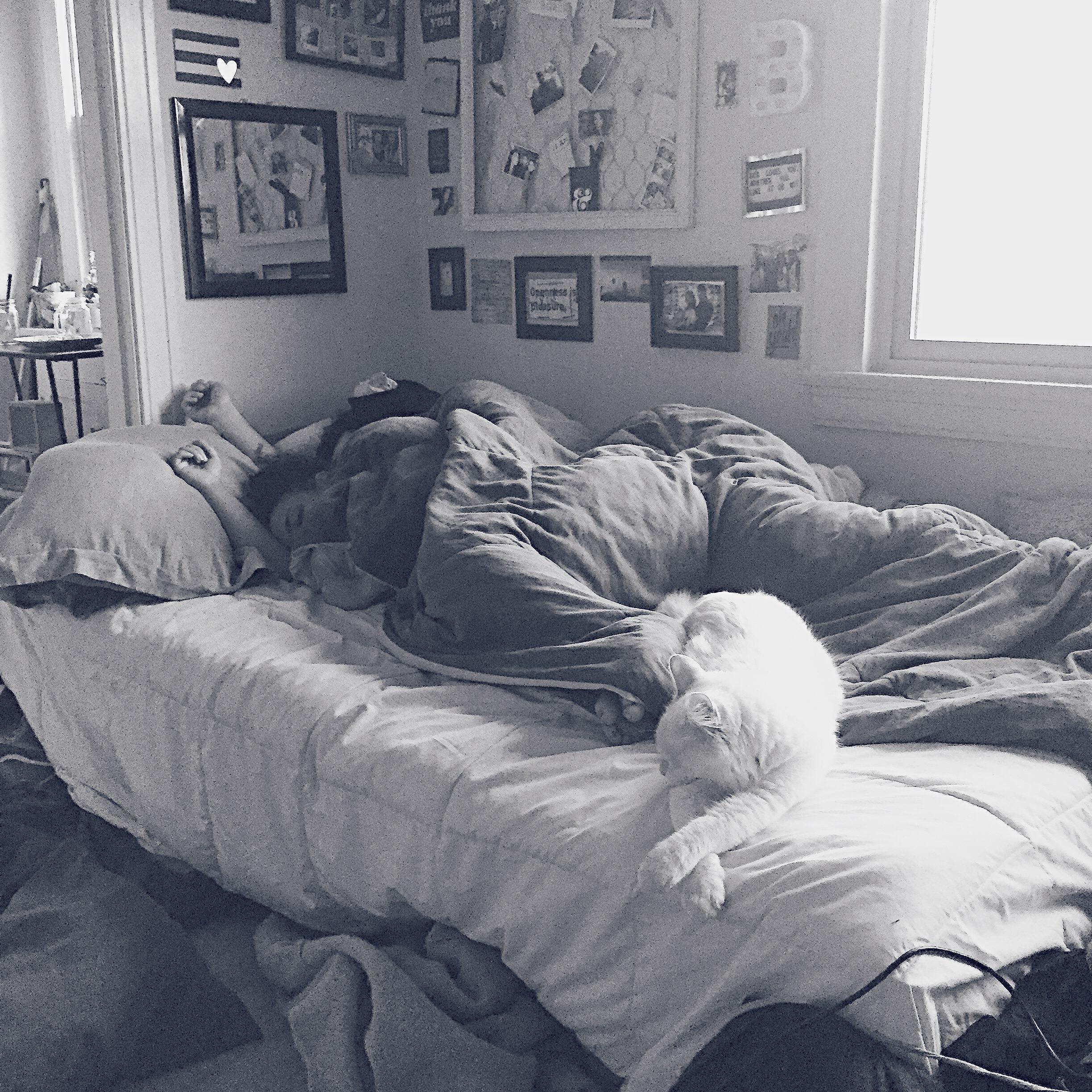 Family photo- my old roommate took this of us early one morning... She moved out and Nick moved in a few months later ;)