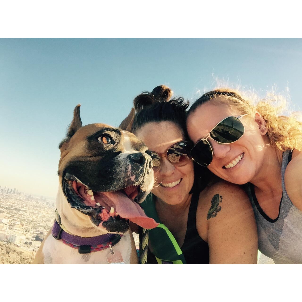 Expert Puppysitters, 2015