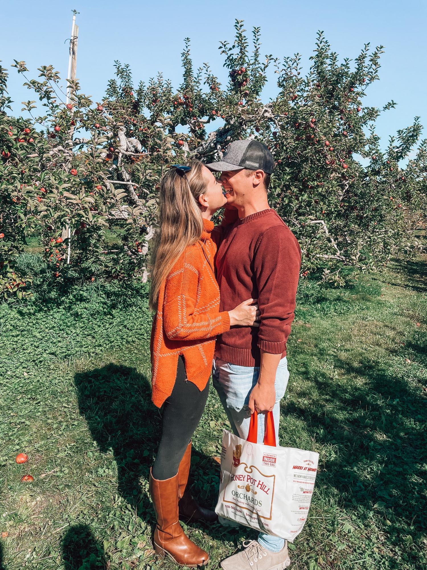 Apple Picking 2022