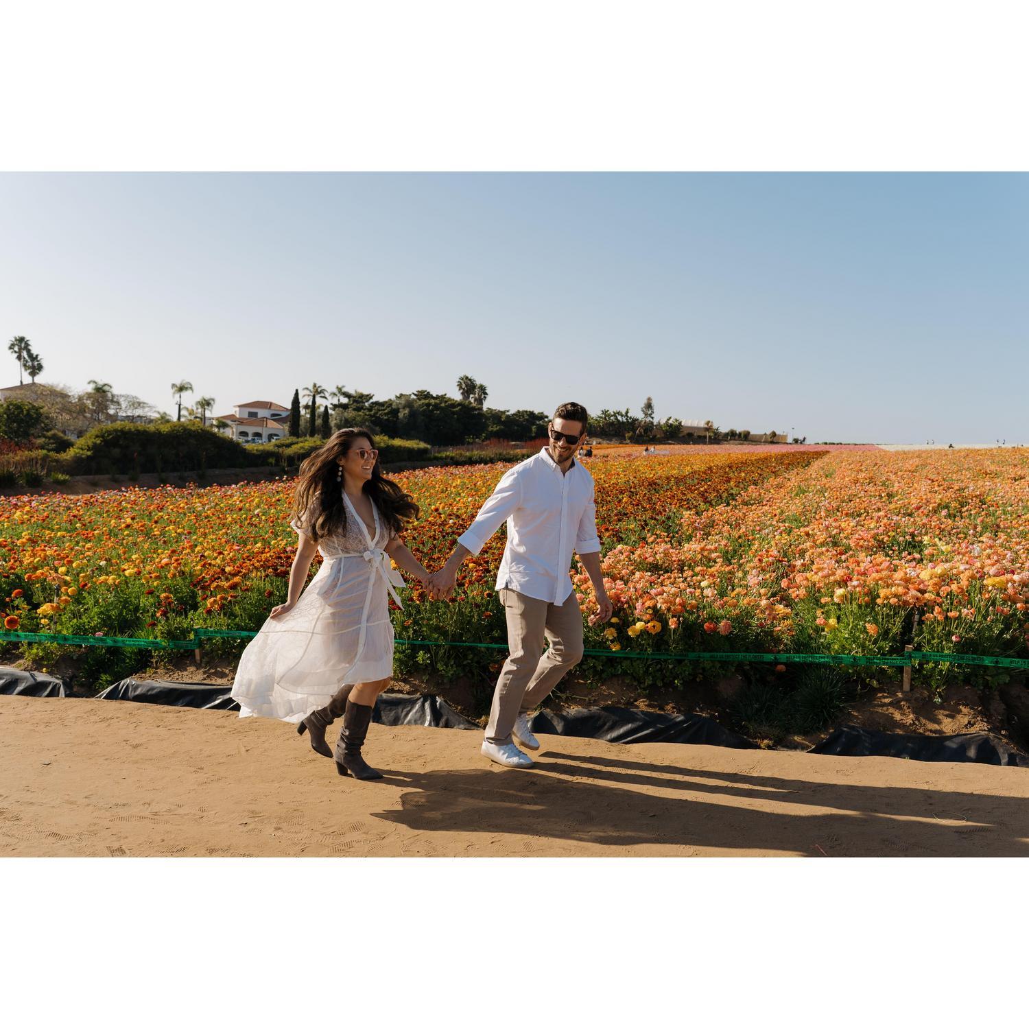 The Wedding Website of Jessica Liu and David Hall