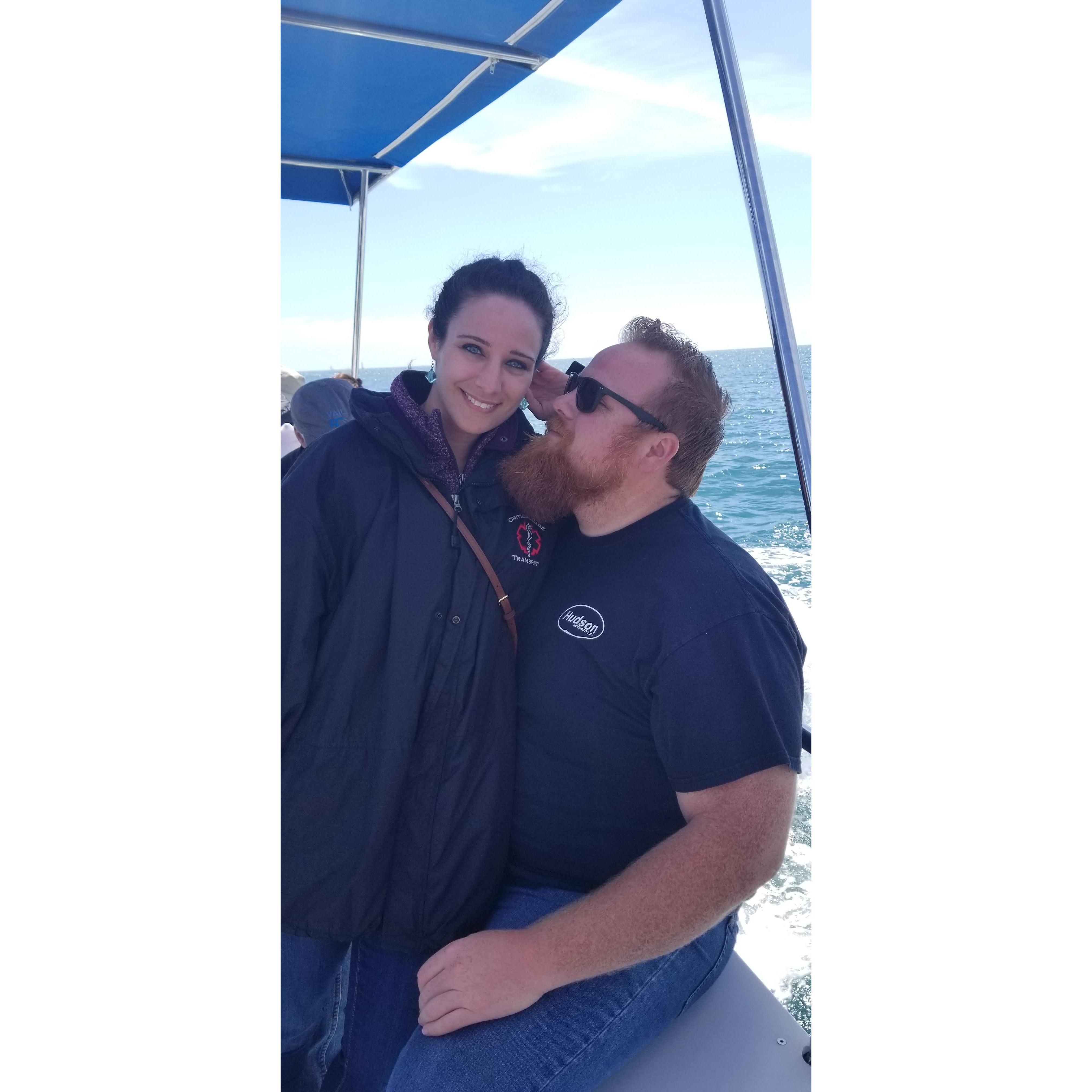 Whale Watching March 2019