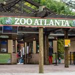 Zoo Atlanta