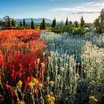Visit - Red Butte Garden and Arboretum