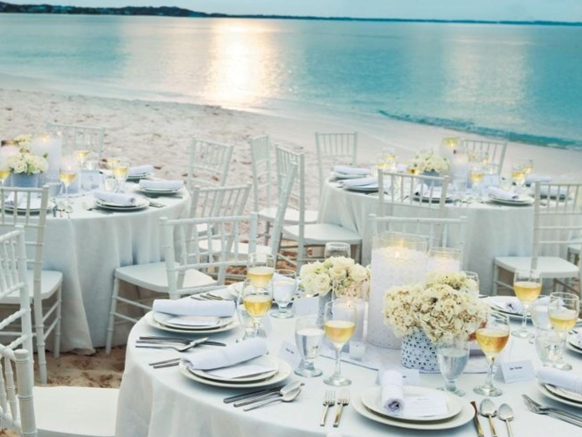 The Wedding Website of Patricia Allan and David Buckridge