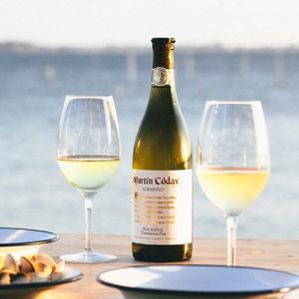 Martin Codax Winery Tour & Artisan Cannery Visit