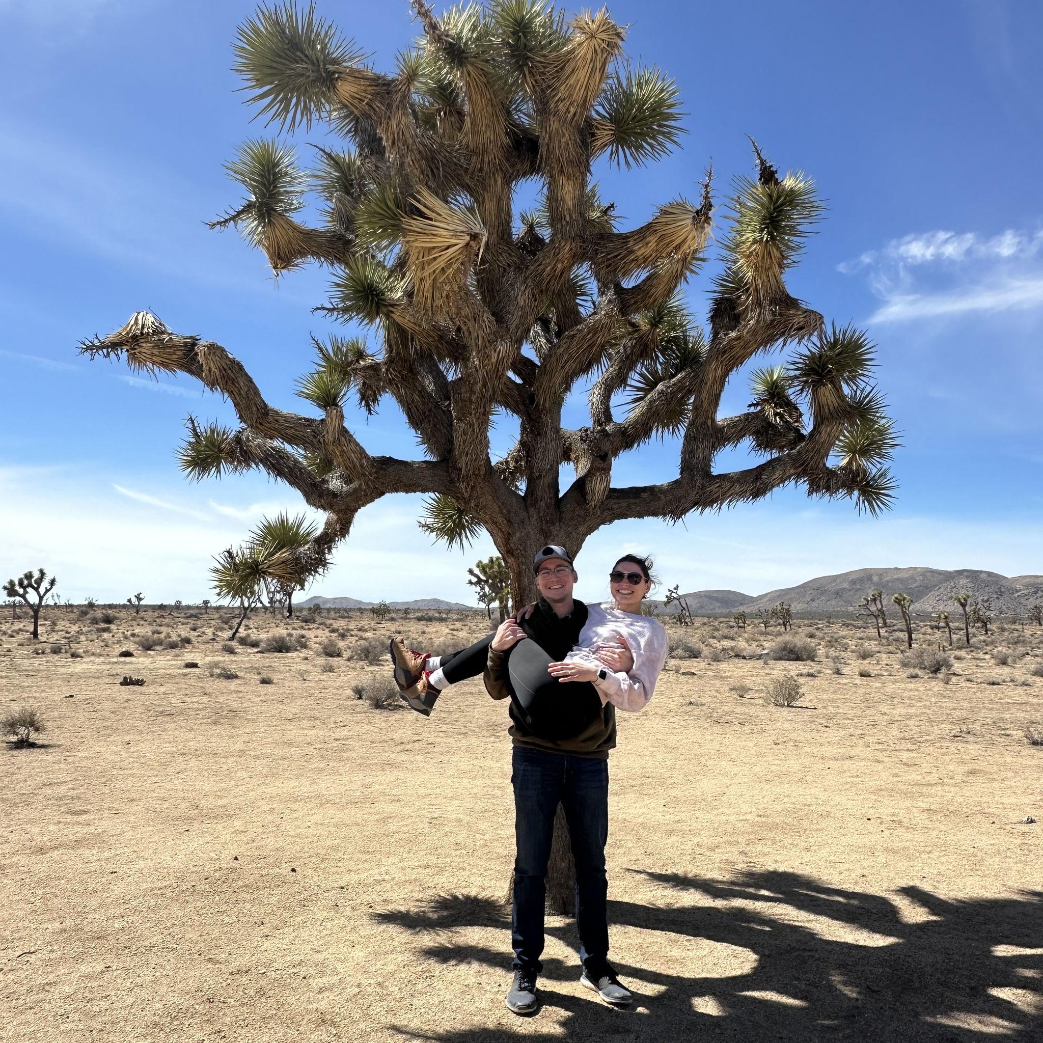 Joshua Tree 2025