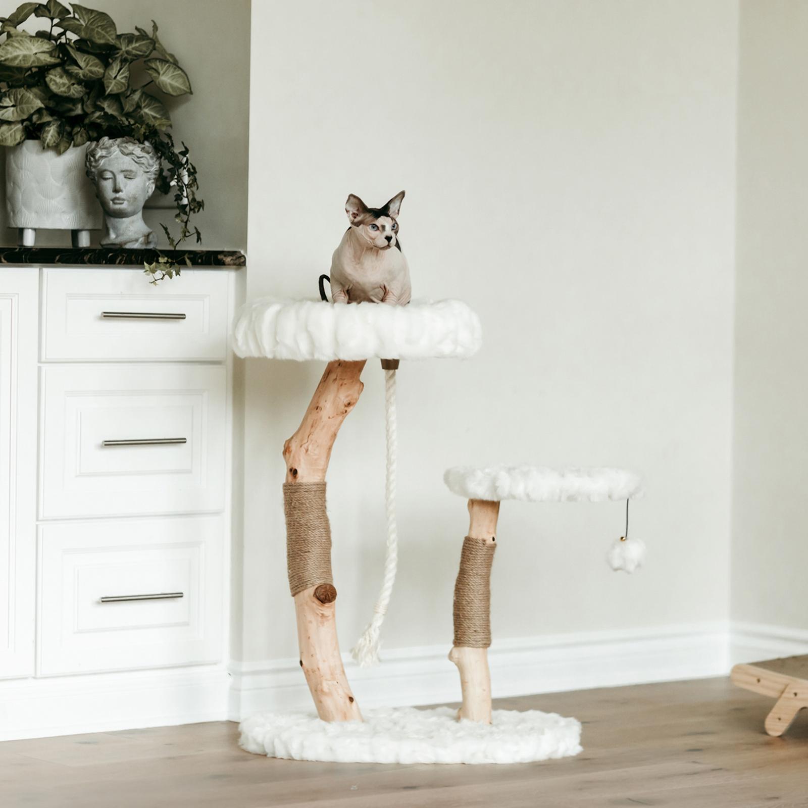 Mau Pets, Rizzo Modern Wooden Cat Tree - Zola