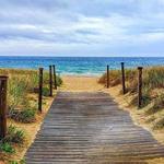 Scusset Beach State Reservation