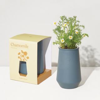 Chamomile Tumbler
