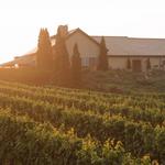Vineyards