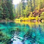 Tamolitch Falls (Blue Pool)